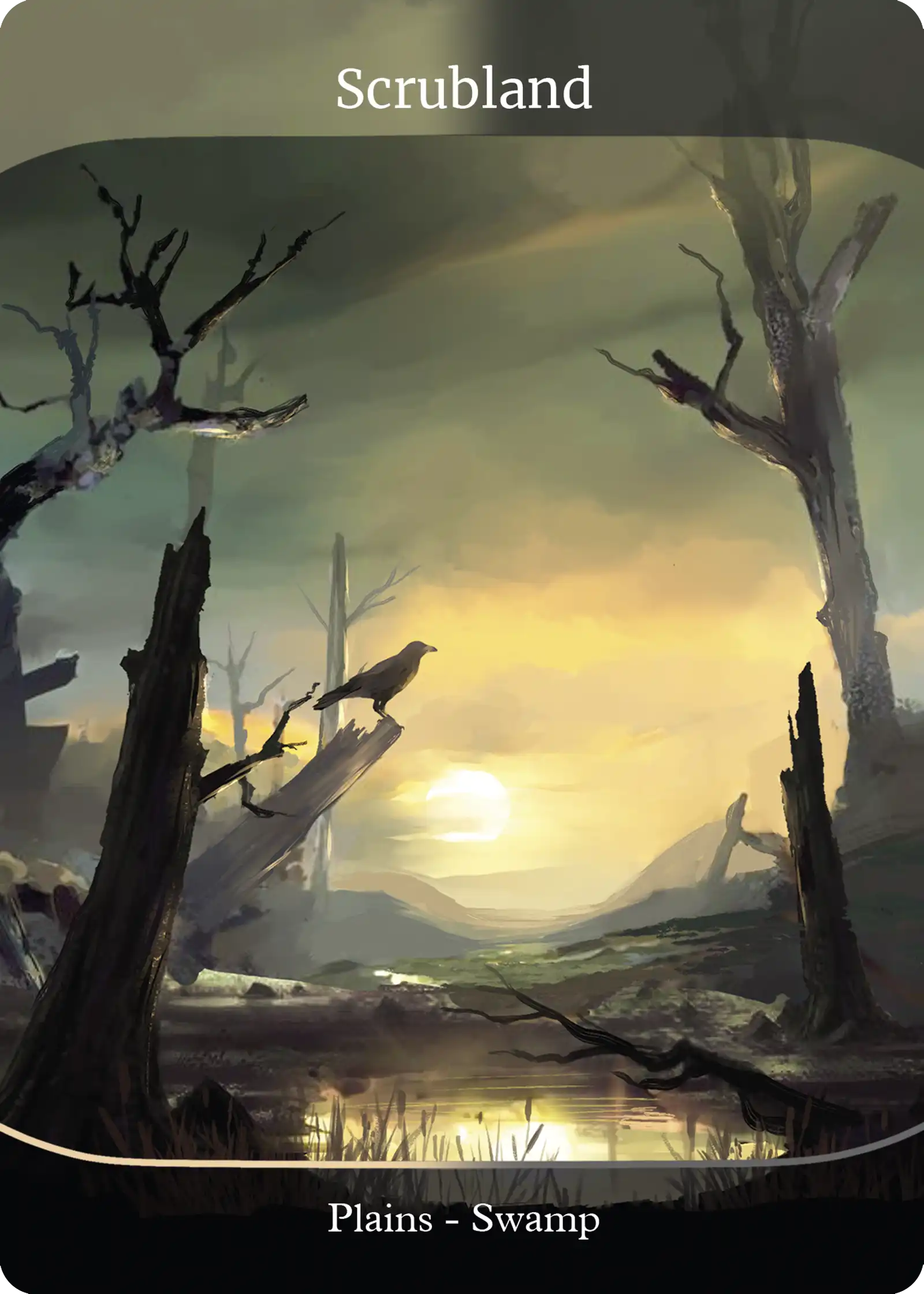 Scrubland